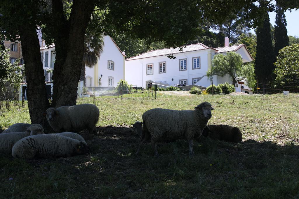 Eugaria Country House By Lost Lisbon Sintra Bagian luar foto